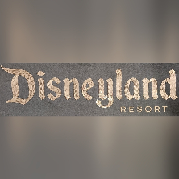 Disneyland Resort XS Briar Rose Dark Grey Charcoal Sequin Sparkle Spirit Jersey - Picture 4 of 7